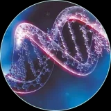 Biochemical analysis and DNA sequencing systems