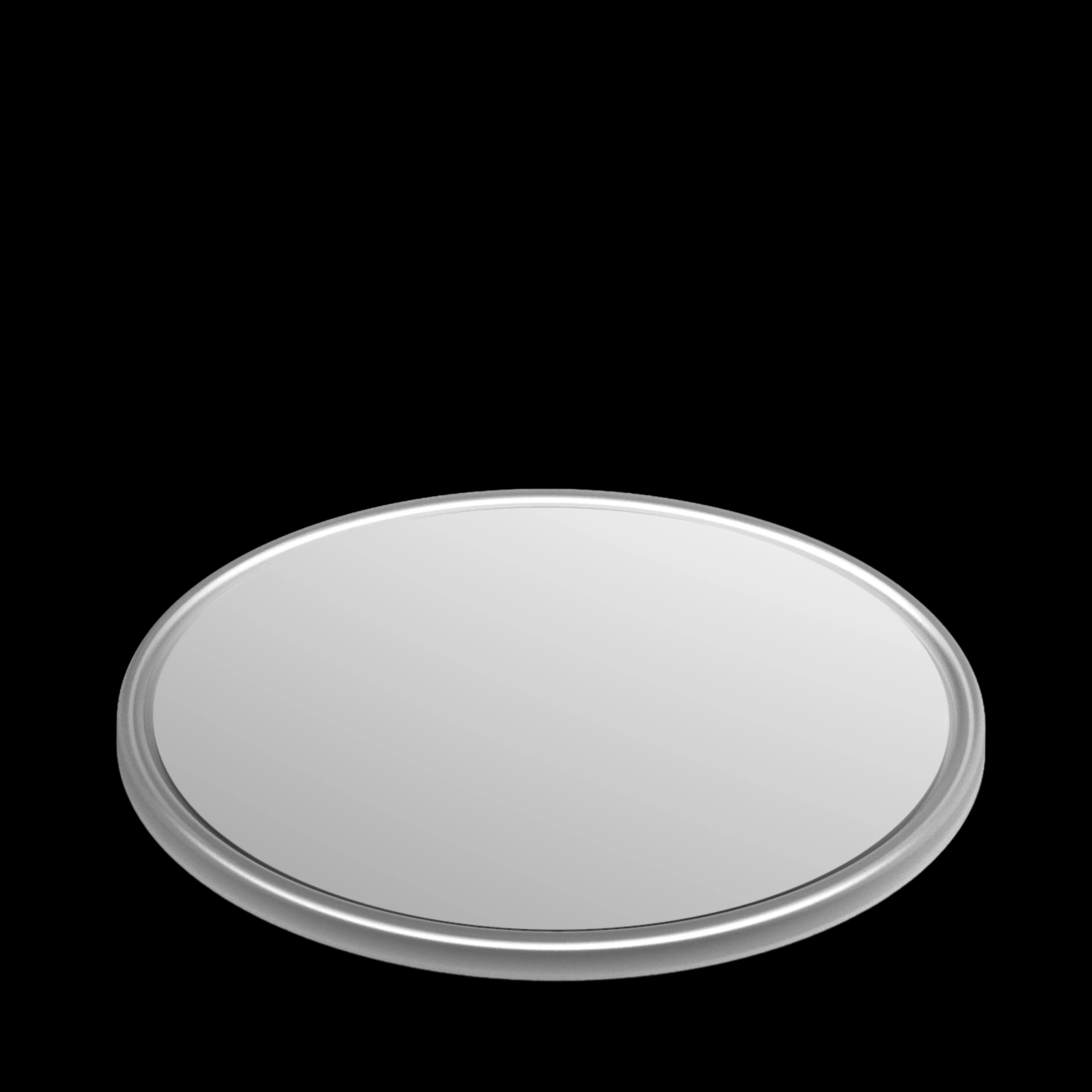 Si Wafers